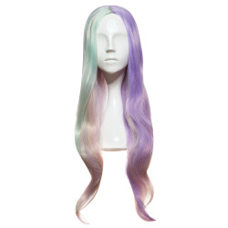 The NELY Multicolor Wig