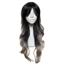 The SOFIA Gray Ombre Wig