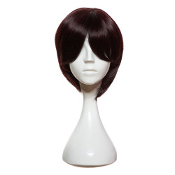 The Aida Dark Burgundy with Highlights Wig