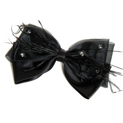 Black Hair Clip