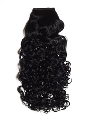 Negru Intens Coada Par Cret