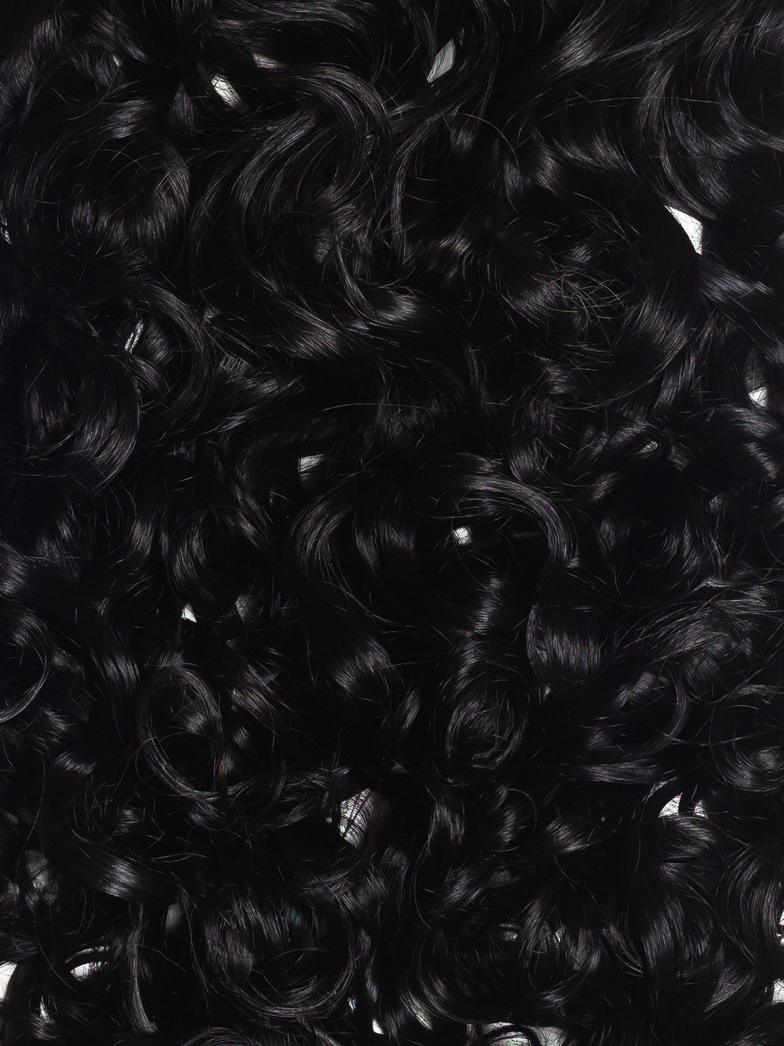 Negru Intens Coada Par Cret