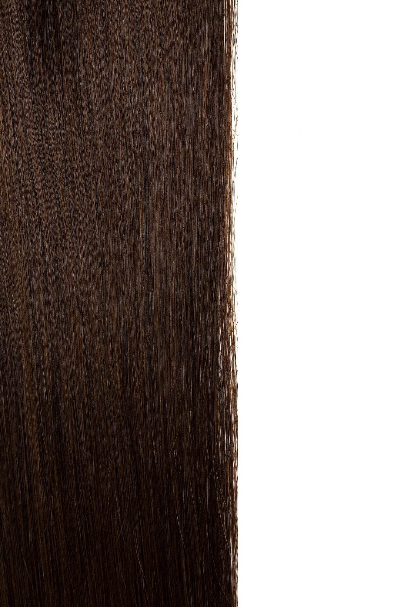 Ciocolatiu Coada Premium